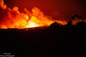 Backburning Efforts to stop the Currowan (Morton) Fire - Feb 2020